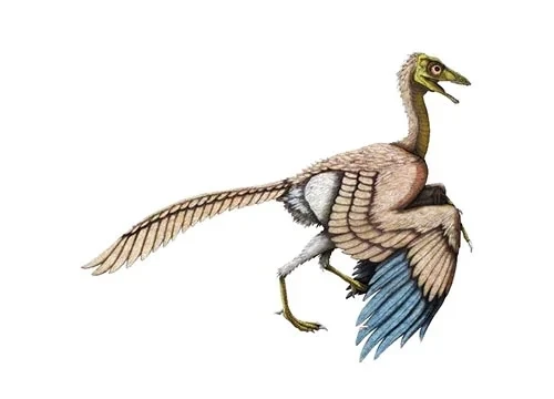 Archaeopteryx: Burung Pertama di Dunia Ternyata Masih Mirip Dinosaurus Lho!